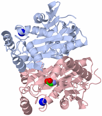 Image Asym./Biol. Unit