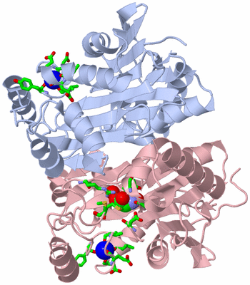 Image Asym./Biol. Unit - sites