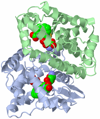 Image Asym./Biol. Unit