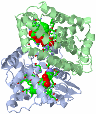 Image Asym./Biol. Unit - sites