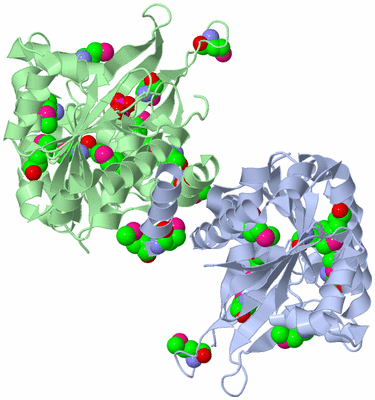 Image Biological Unit 2