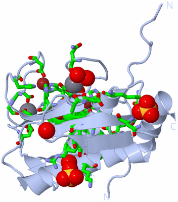 Image Biol. Unit 1 - sites