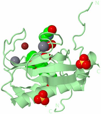 Image Biological Unit 2