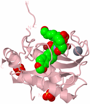 Image Biological Unit 3