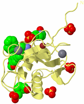 Image Biological Unit 4