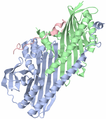 Image Biological Unit 1