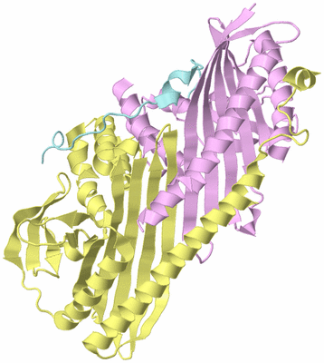 Image Biological Unit 2