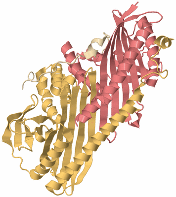 Image Biological Unit 3