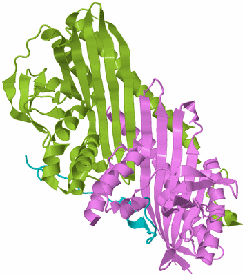 Image Biological Unit 5