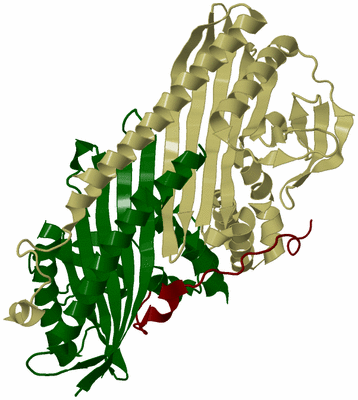 Image Biological Unit 7