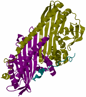 Image Biological Unit 8