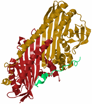 Image Biological Unit 9