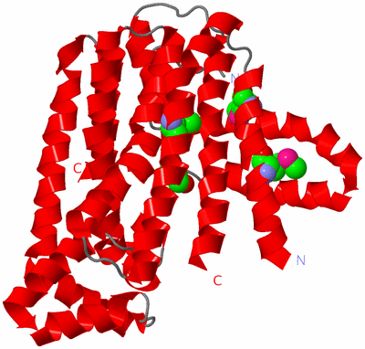 Image Asymmetric Unit