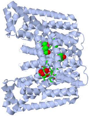 Image Biol. Unit 1 - sites