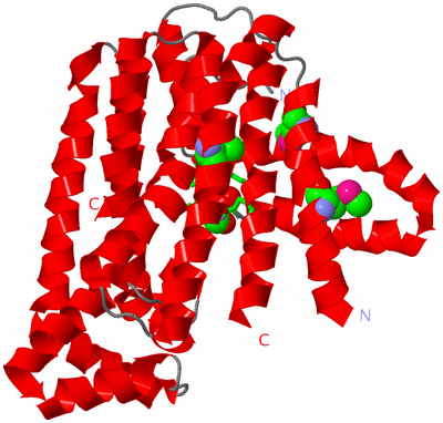 Image Asym. Unit - sites