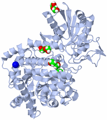 Image Biological Unit 1