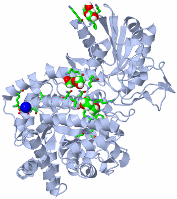 Image Biol. Unit 1 - sites