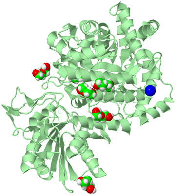 Image Biological Unit 2