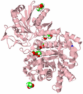 Image Biological Unit 3