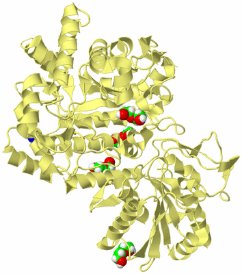 Image Biological Unit 4