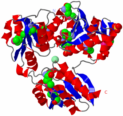 Image Asym./Biol. Unit