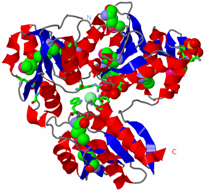 Image Asym./Biol. Unit - sites