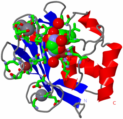 Image Asym./Biol. Unit - sites