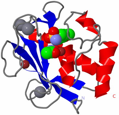 Image Asym./Biol. Unit