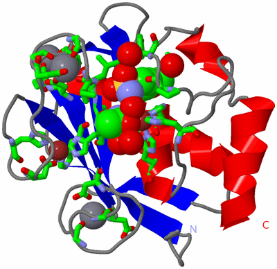 Image Asym./Biol. Unit - sites