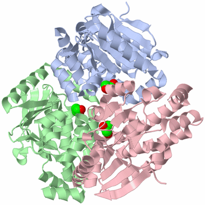 Image Asym./Biol. Unit