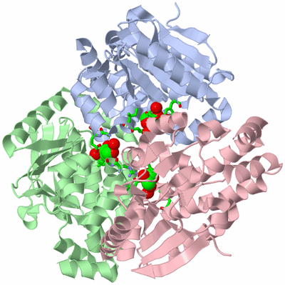 Image Asym./Biol. Unit - sites