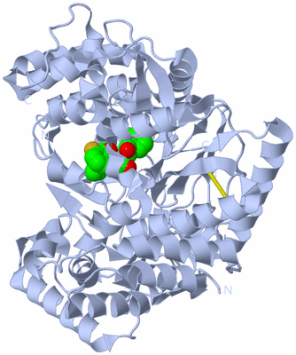 Image Biological Unit 1