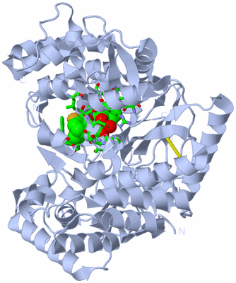 Image Biol. Unit 1 - sites