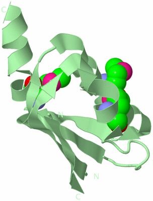 Image Biological Unit 3