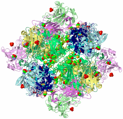 Image Biological Unit 1