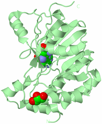 Image Biological Unit 2