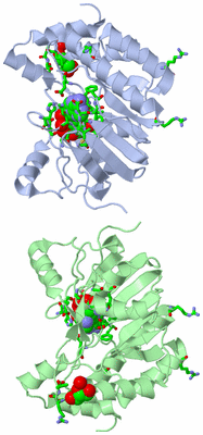 Image Asym. Unit - sites