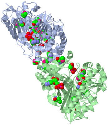 Image Asym./Biol. Unit