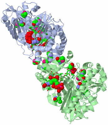 Image Asym./Biol. Unit - sites