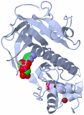 Image Biological Unit 1