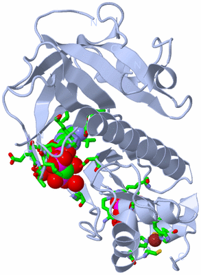 Image Biol. Unit 1 - sites