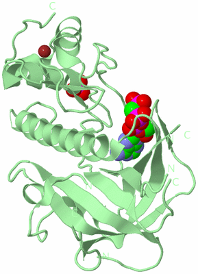 Image Biological Unit 2