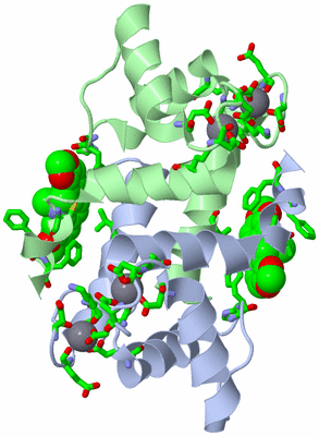 Image Asym. Unit - sites