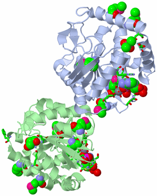 Image Asym./Biol. Unit - sites