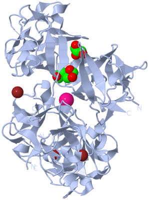 Image Biological Unit 1