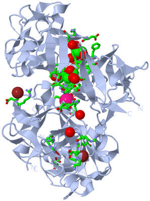 Image Biol. Unit 1 - sites