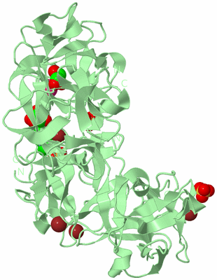 Image Biological Unit 2