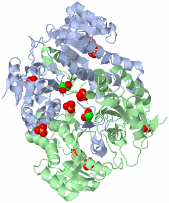 Image Asym./Biol. Unit