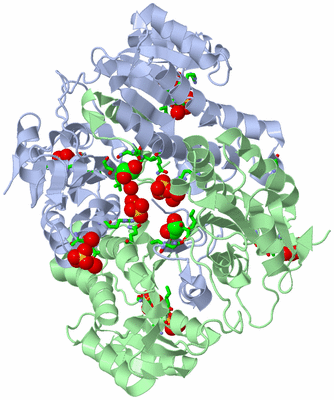 Image Asym./Biol. Unit - sites