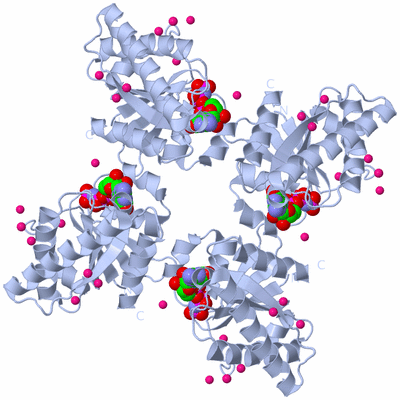 Image Biological Unit 1